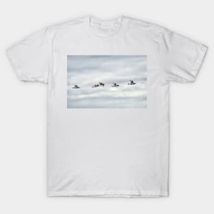 Five Oystercatchers in flight - Isle of Arran, Scotland T-Shirt